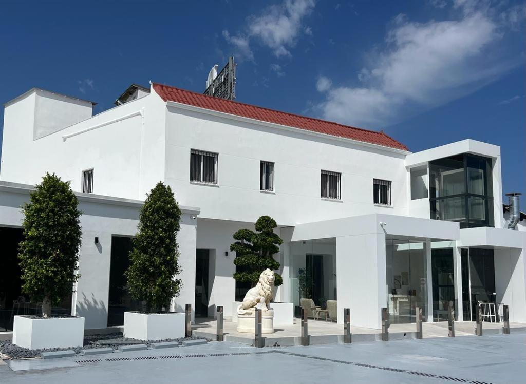 Don Leone Hotel Alginet Esterno foto